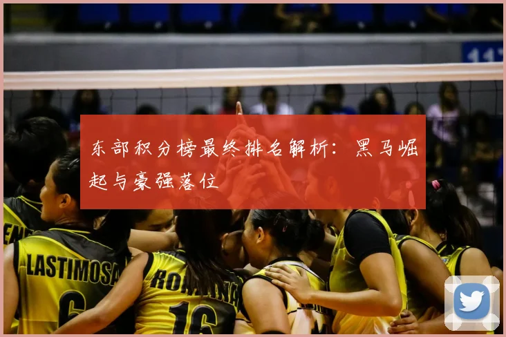 东部积分榜最终排名解析：黑马崛起与豪强落位